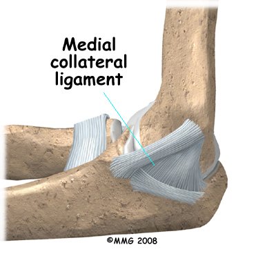 Physical Therapy in Dothan for Elbow Pain - Dislocation