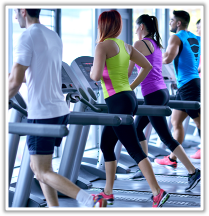 Cardio Workout, Best Exercise Equipment - Gainesville Health & Fitness