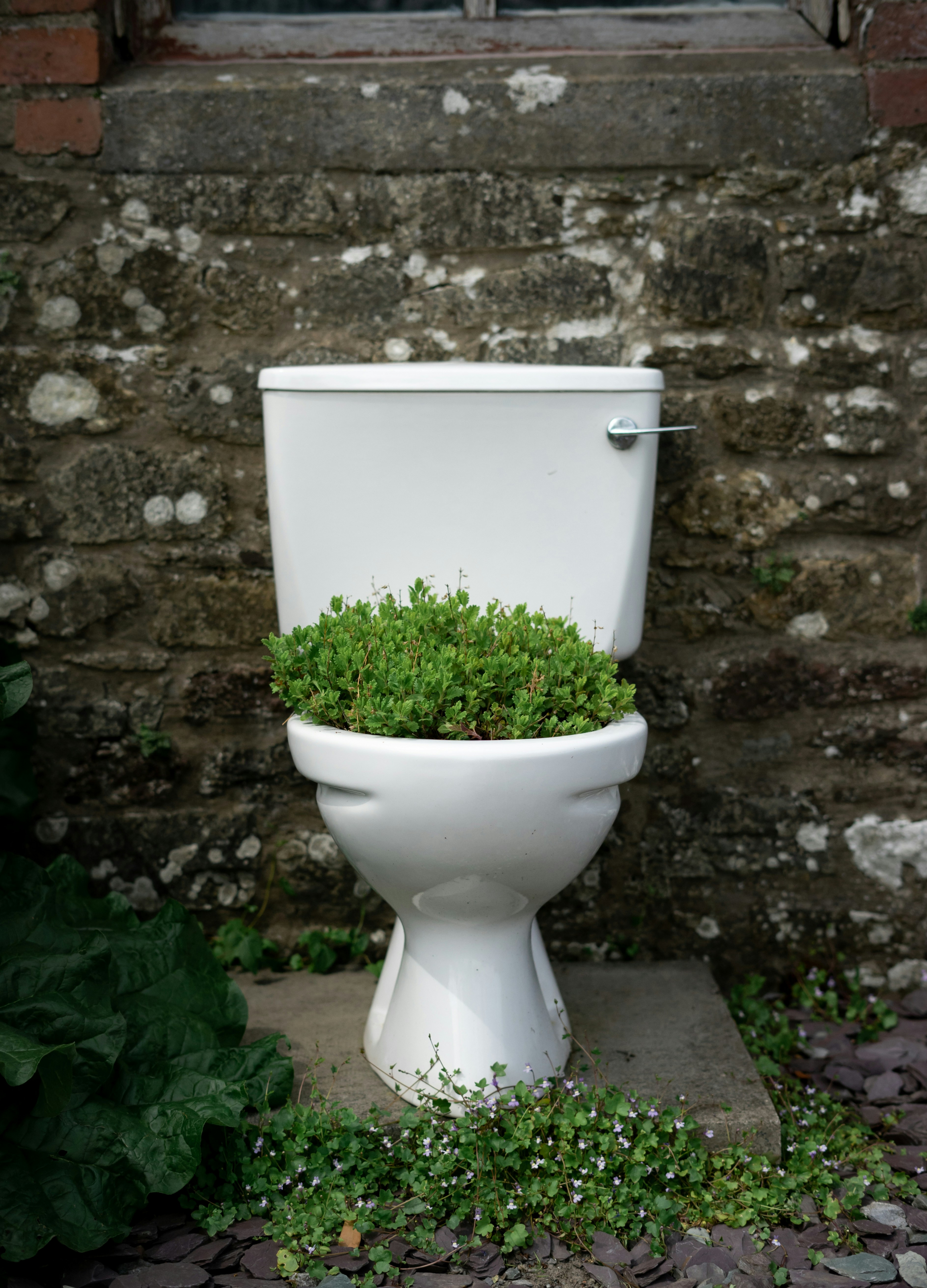 Symbolic representation of relief and renewal in bladder health through Pelvic Floor Physical Therapy – a toilet with vibrant greenery emerging from the bowl.