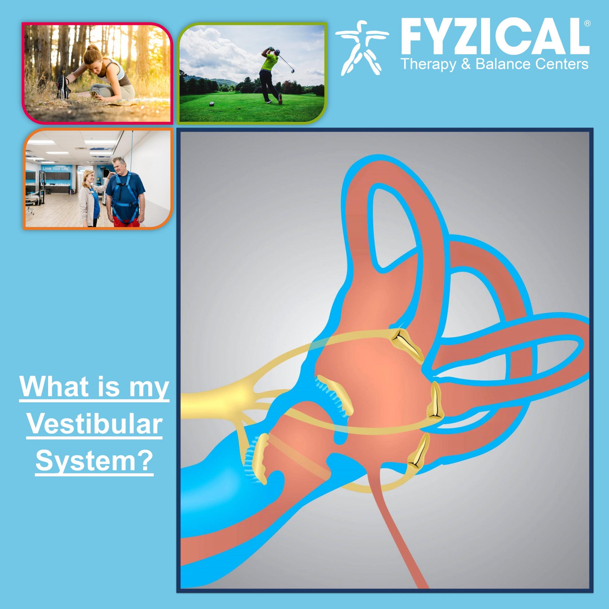Your Vestibular System is like the gyroscope in your smart phone. If you have vertigo, vestibular rehabilitation by the physical therapists at FYZICAL Therapy & Balance Centers of Oklahoma City (OKC) can help.